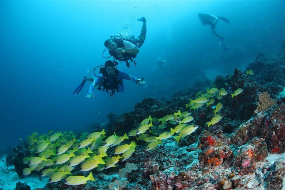 Fern Boquete Inn Hulhumale Exteriör bild
